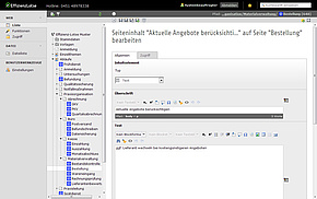 Bearbeitungsansicht der QM-Software Effizienz-Lotse für ein einfaches Strukturieren und Eingeben der Inhalte